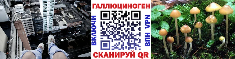 Галлюциногенные грибы MAGIC MUSHROOMS  купить закладку  Сольцы 